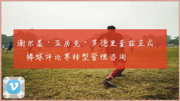 谢尔盖·亚历克·罗德里奎兹正式从棒球评论界转型管理咨询
