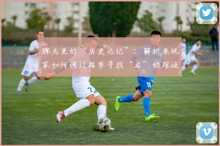 牌九里的“历史记忆”：解析老玩家如何通过路单寻找“龙”的踪迹。（解密牌九的路单：老玩家如何追踪“龙”的走势）